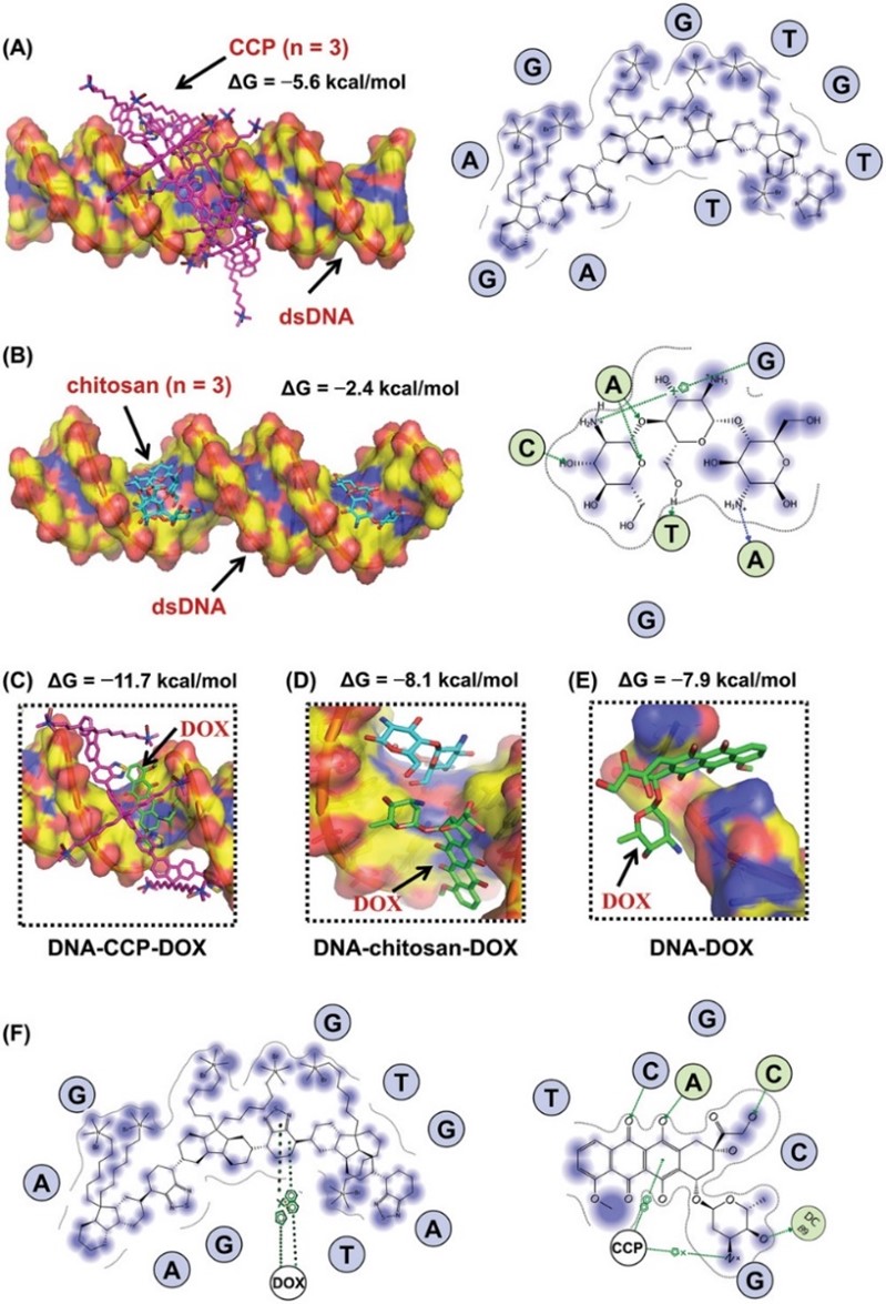 我校苏昕副教授与刘惠玉教授合作在《small》发表研究论文